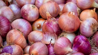 Mincetur destaca reapertura del mercado ecuatoriano para la cebolla peruana