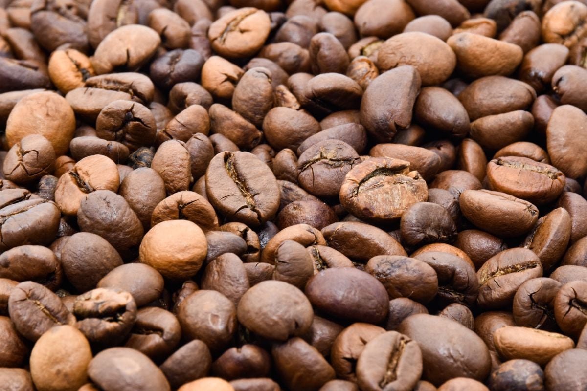 Norandino tiene productores asociados, principalmente, en Piura y Cajamarca. (Foto: Yana Nadolinska / Pexels)