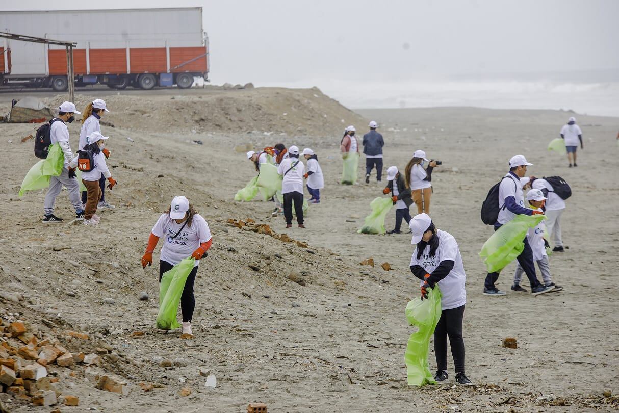 Organizar actividades con los colaboradores para fomentar la preservación del medio ambiente.