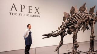 Esqueleto de dinosaurio Apex se vende por el precio más caro de la historia