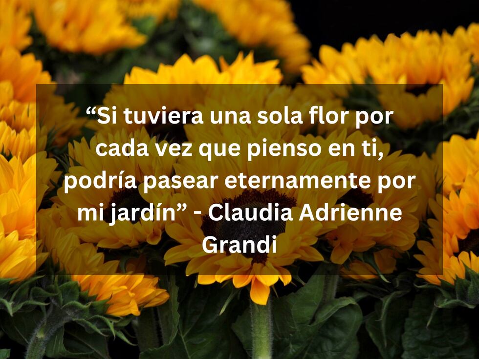 “Si tuviera una sola flor por cada vez que pienso en ti, podría pasear eternamente por mi jardín” - Claudia Adrienne Grandi | Imagen de Anja en Pixabay / Composición Mix