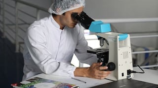 Concytec quiere pesar más en el PBI: ¿puede Perú darle prioridad a la ciencia?