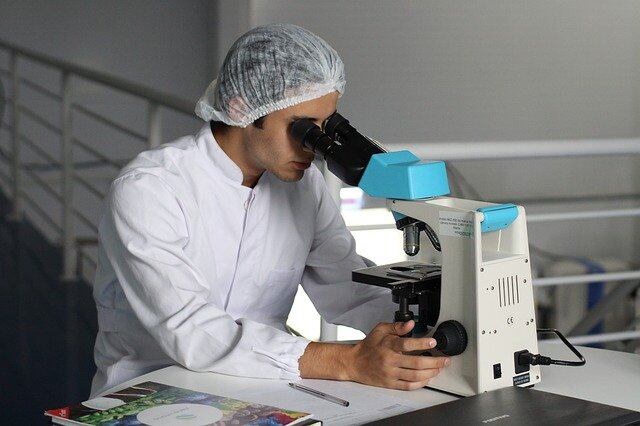¿Cómo se intenta promover la investigación científica en el Perú? (Pixabay)