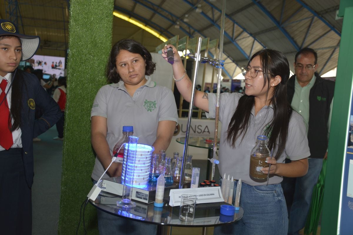 Los proyectos deben presentar metodologías sólidas y respaldo de investigadores experimentados. Foto: Concytec / difusión