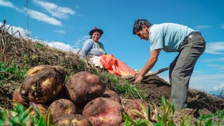 Productores Agrarios: Padrón ya supera el millón de registros a nivel nacional