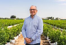 Agrícola Don Ricardo y su plan de inversión para fortalecerse en el arándano