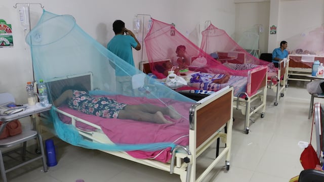 Dengue en Perú: Estas son 20 regiones que extenderán el estado de emergencia