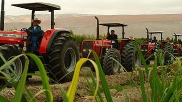 La agricultura peruana registró mayor crecimiento en la región