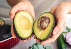 Pampa Baja: Europa absorbe mayor oferta de palta peruana sin afectar precios