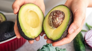 Pampa Baja: Europa absorbe mayor oferta de palta peruana sin afectar precios