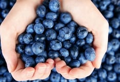 Grupo Gloria con un pie en mercado europeo vía Gloria Agro Foods