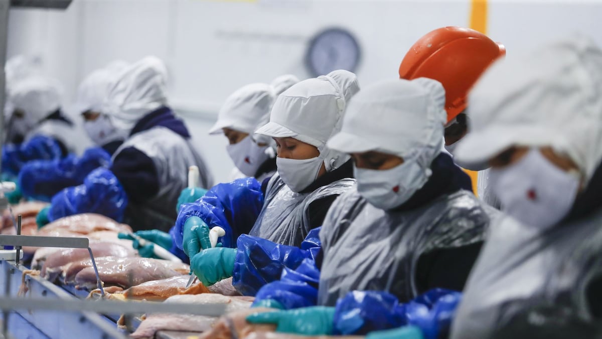 La productividad: el eslabón pendiente de la formalización
