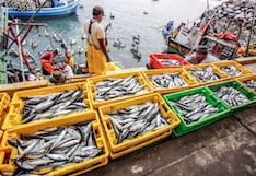 ¿Pescadores de Tacna listos para exportar a la Unión Europea?: lo que se trabaja con Produce