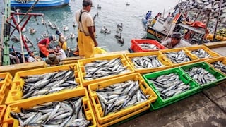 ¿Pescadores de Tacna podrían exportar a la Unión Europea?