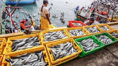 El BCRP se pronunció sobre el impacto que vienen teniendo los factores climáticos en la economía. Foto: Andina.