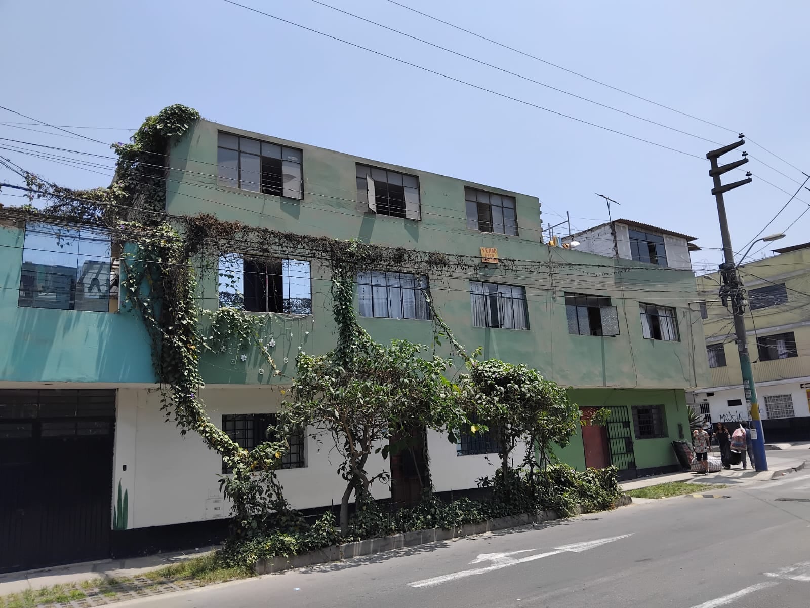 Av. Augusto B. Leguia en San Martín de Porres, para ocultar los cables están extendiendo sus plantas enredaderas. Foto Defensoría