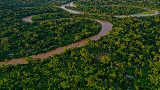 Defensores ambientales de Brasil denuncian en Europa devastación de Amazonía