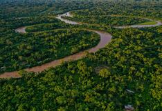 Fitch proyecta que precio de pulpa de celulosa se eleve: beneficiará a América Latina