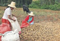 AGAP: Empresarios deben comprometerse más para avanzar a la formalización en el sector agroexportador