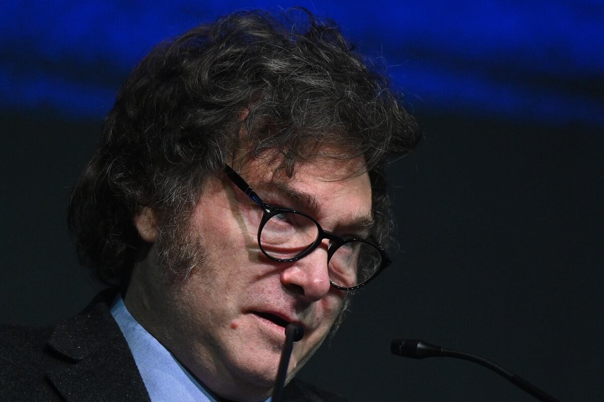 Milei says Argentina supports the Venezuelan people in their “fight for freedom” Milei says Argentina supports the Venezuelan people in their “fight for freedom”