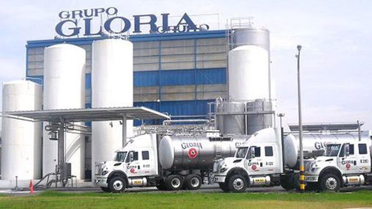 20 de noviembre del 2009. Hace 15 años. Por ahora Grupo Gloria no fusionará azucareras. Espera que cada una logre eficiencias de manera independiente.