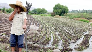 Minagri: Sector agropecuario crecería 4% al cierre del 2018 por mejores perspectivas