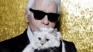 ¿Irá la herencia de Karl Lagerfeld a su gata?