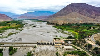 Chinecas: se abriría puerta para que venda tierras para el agro directamente, ¿qué cambia?