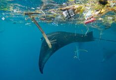 Ghana, primer país en adoptar un plan ciudadano para paliar la contaminación marina
