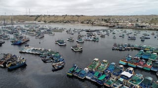 Acuícola Mar Pacífico inicia despachos a China y mira ingreso a Brasil y EE.UU.