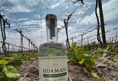 Compañía Peruana de Pisco destila proyectos en enoturismo y producción
