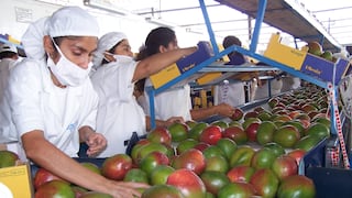 G&S Agroexportador avanza en Europa con marcas propias de mangos 