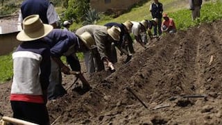 Agricultores peruanos apuntan al mercado italiano tras firma de convenio