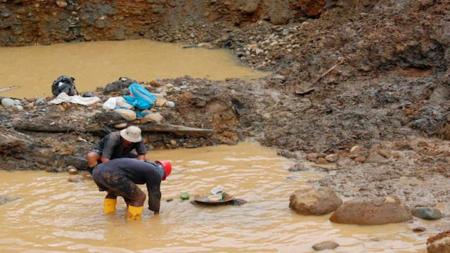 Tambopata perdió área de bosques equivalente a Chosica por la minería ilegal