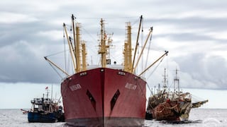 El ilegal negocio de los barcos chinos que sacan pota de aguas peruanas