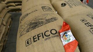 Primer contenedor con la marca “Cafés del Perú” arribó a Bélgica