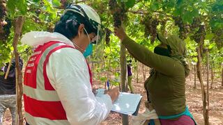 Empresas agrarias deben a EsSalud más de S/ 200 millones