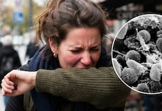Qué es la peste neumónica y cómo se contagia tras el posible caso mortal en Rusia