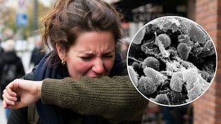 Qué es la peste neumónica y cómo se contagia tras el posible caso mortal en Rusia