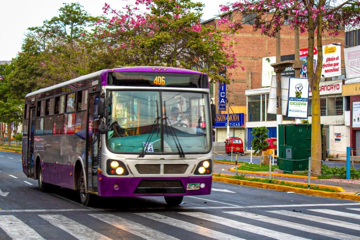 Corredor Morado: precio y horarios de las nuevas rutas que irán desde SJL hasta San Isidro