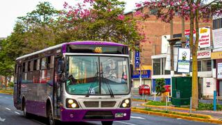 Corredor Morado: precio y horarios de las nuevas rutas que irán desde SJL hasta San Isidro