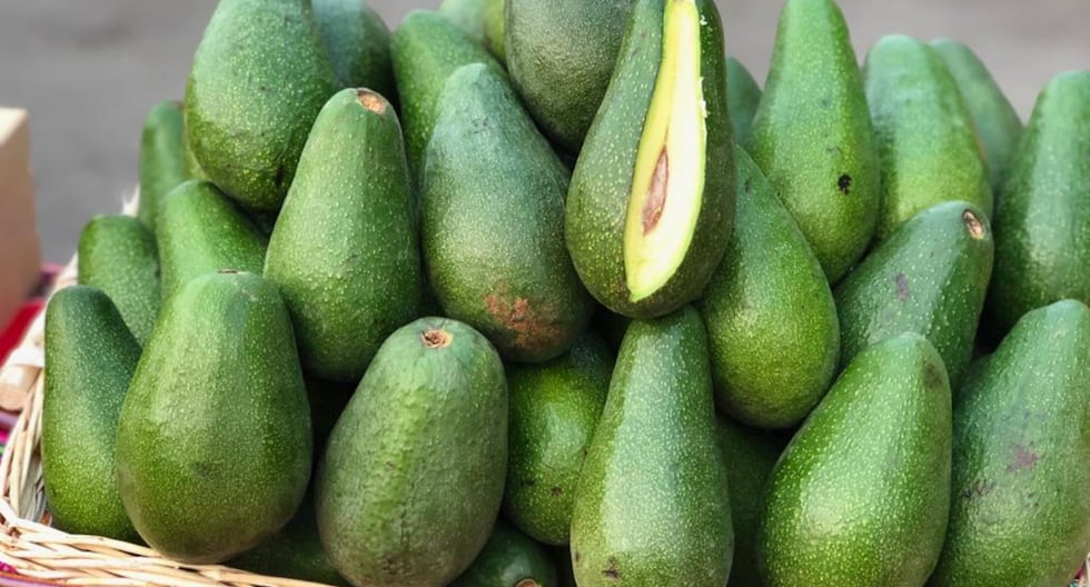 Perú y Chile empatan en exportaciones de aguacate