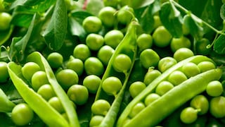 Fenómeno de El Niño lleva a FairFruit a reubicar 120 hectáreas de cultivo hacia Arequipa y Huara