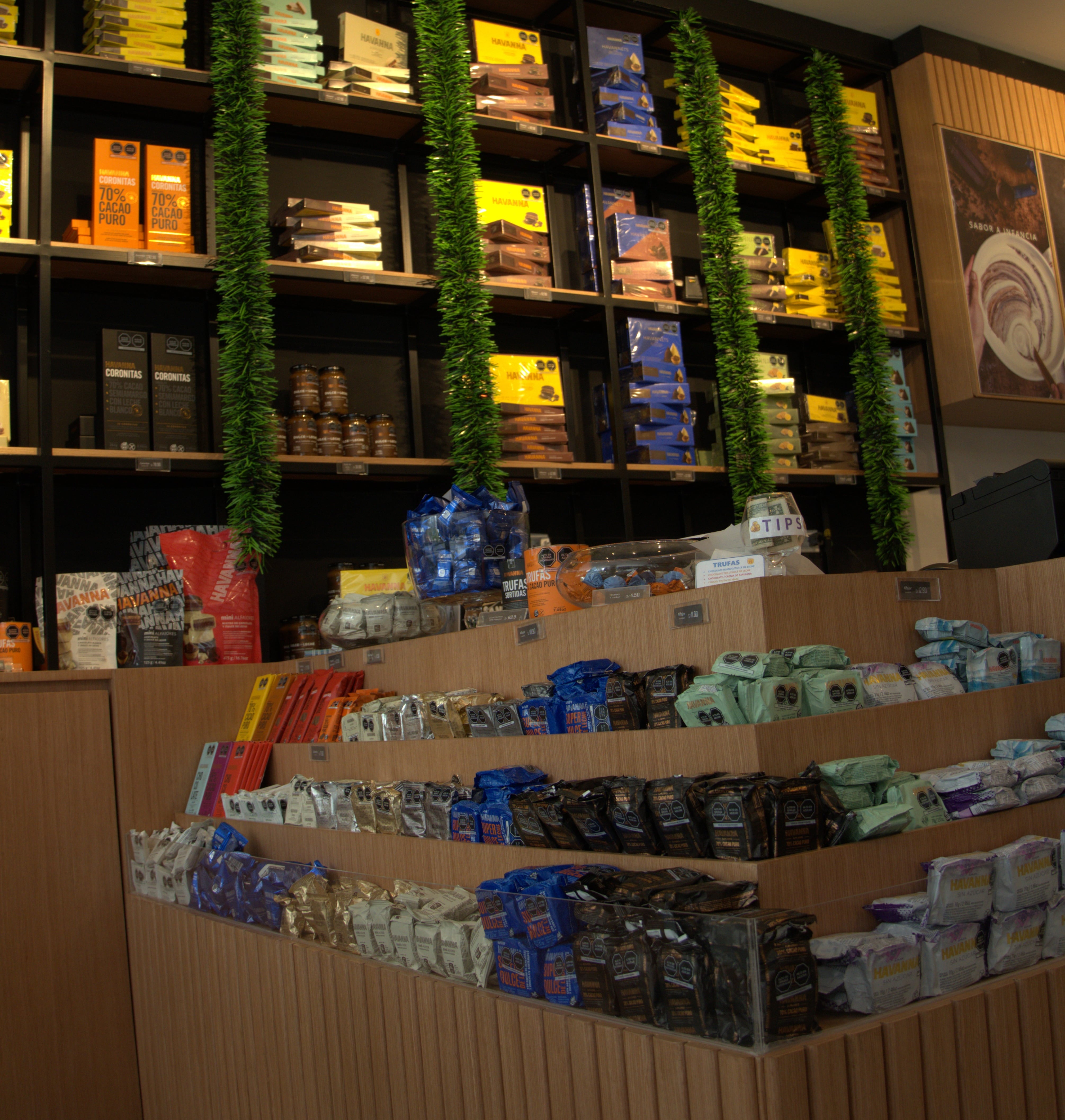 Los distritos prioritarios son Miraflores, San Isidro y San Borja. (Foto: Havanna Perú)