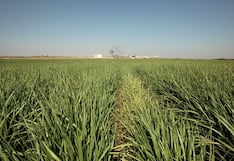 Bolsa: construcción, agro y bancos con atractivos retornos en el año