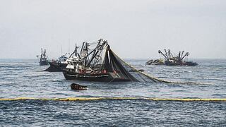 ¿Cómo se deben distribuir los derechos de pesca?