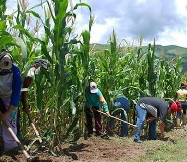 Nueva metodología de Bonos de la Deuda Agraria: cambios e impacto | Foto: Referencial