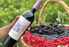 Agronesis del Perú suma tercera marca con lanzamiento de su destilado de berries