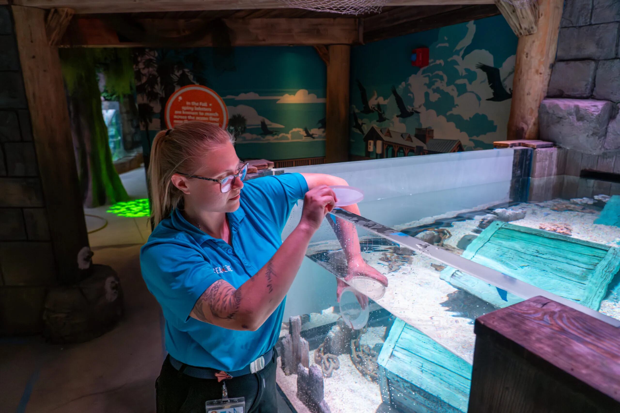 Los trabajadores están ultimando detalles para la gran inauguración (Foto: Sea Life)