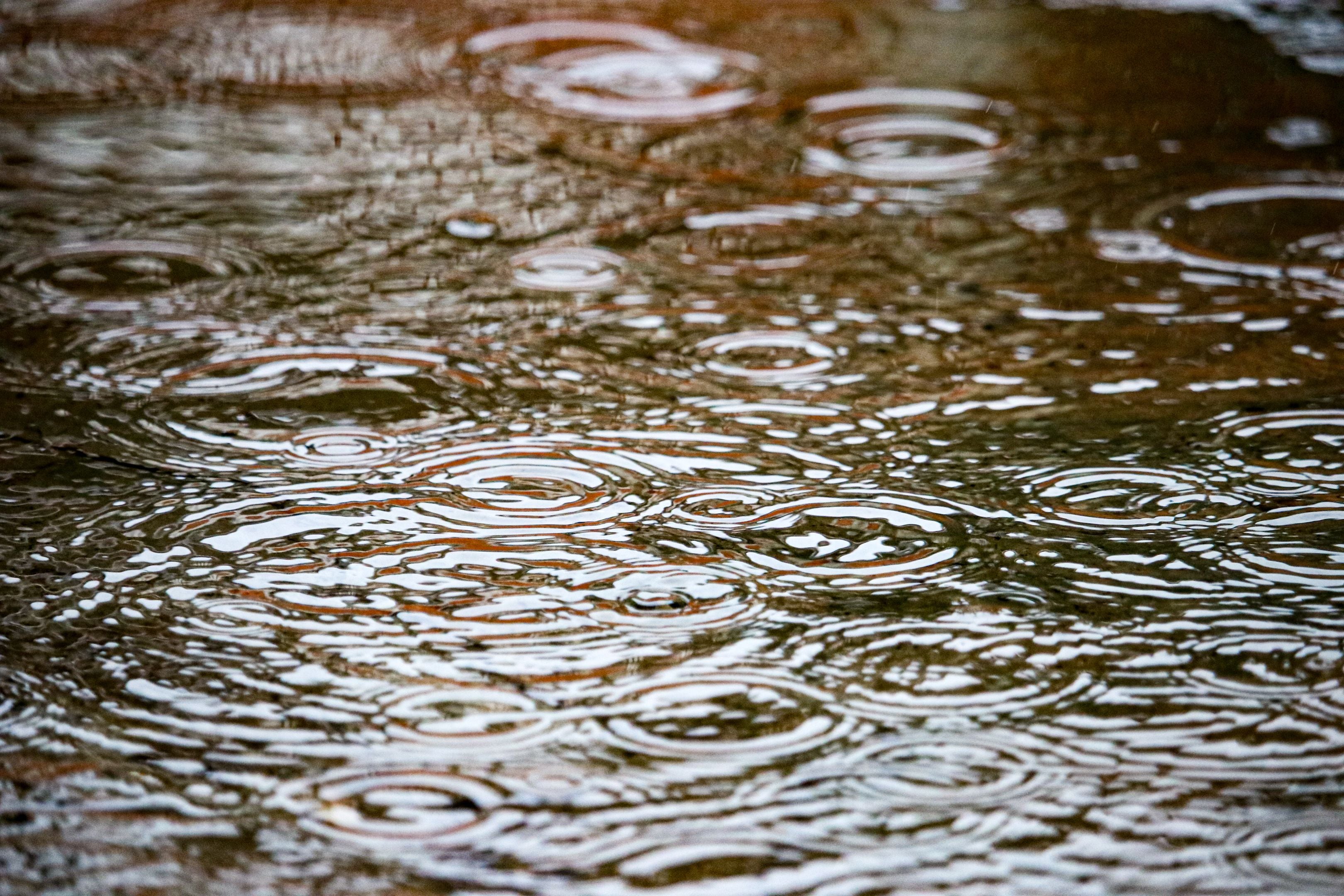 Según Pastelok, el sur de California, Arizona y el suroeste de EE. UU. están expuestos a presentar lluvias frecuentes e intensas. (Crédito: Pexels / Imagen referencial)